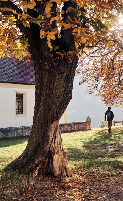 Escursioni e Törggelen in autunno