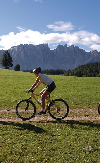 Bike tour on the mountain pasture