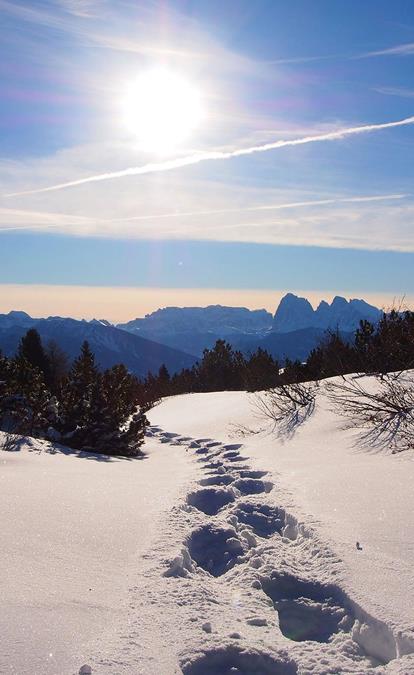 Spuren einer Schneeschuhwanderung