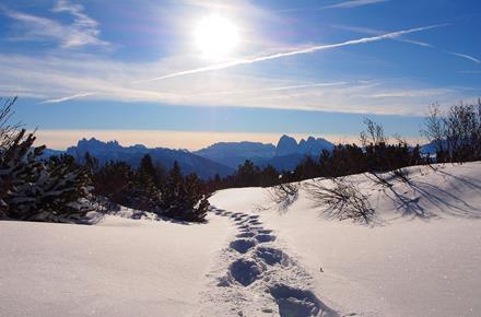 Spuren einer Schneeschuhwanderung