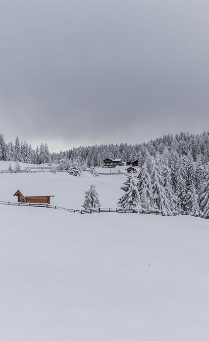 Winter with a lot of snow